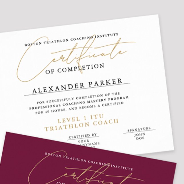 Einfaches Schwarz-weiß-Gold-Zertifikat Poster (Von Creator hochgeladen)