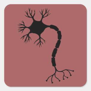 Einfaches Schwarzes Neurondesign Quadratischer Aufkleber
