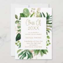 Einfaches tropisches Foto Moderner Abschluss