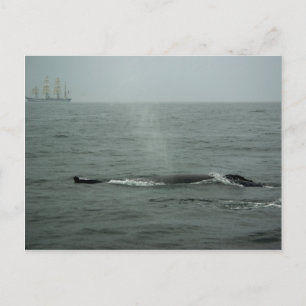 Einfaches Übergeben per Postkarte