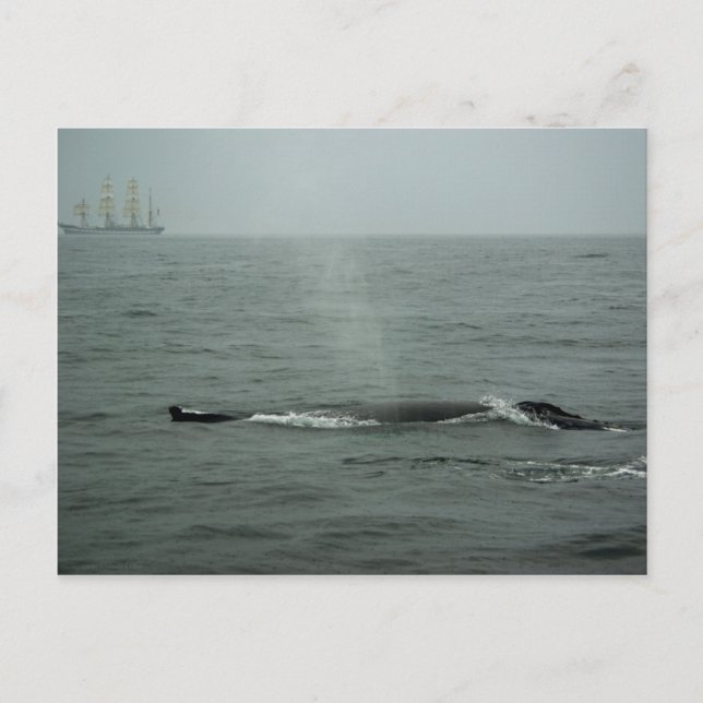 Einfaches Übergeben per Postkarte (Vorderseite)