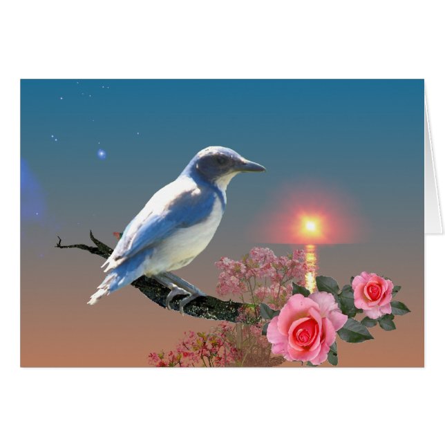 Einfachheit (Vorderseite (Horizontal))