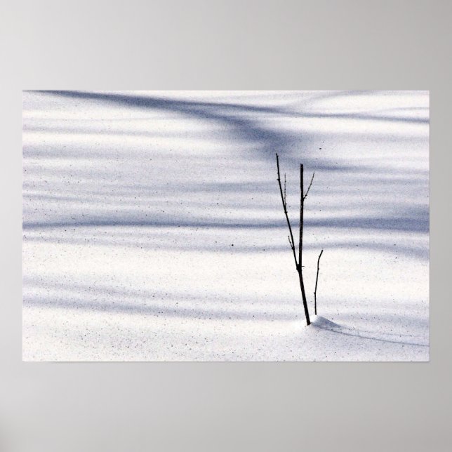 Einfachheit Poster (Vorne)