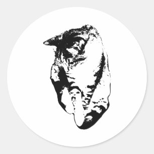 Einfarbige Aufkleber für die Tabby-Katze