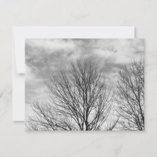 Einfarbige Baum-Spitze