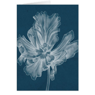 Einfarbige Tulpe II