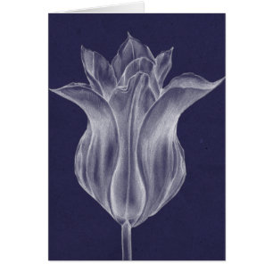 Einfarbige Tulpe III