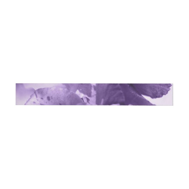 Einfarbige Veilchen (Person)