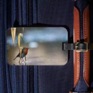 Einfarbiges amerikanisches Reisegepäck-Etikett Gepäckanhänger