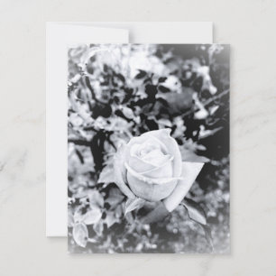 Einfarbiges Rosen-Gästebuch für Hochzeit RSVP Karte