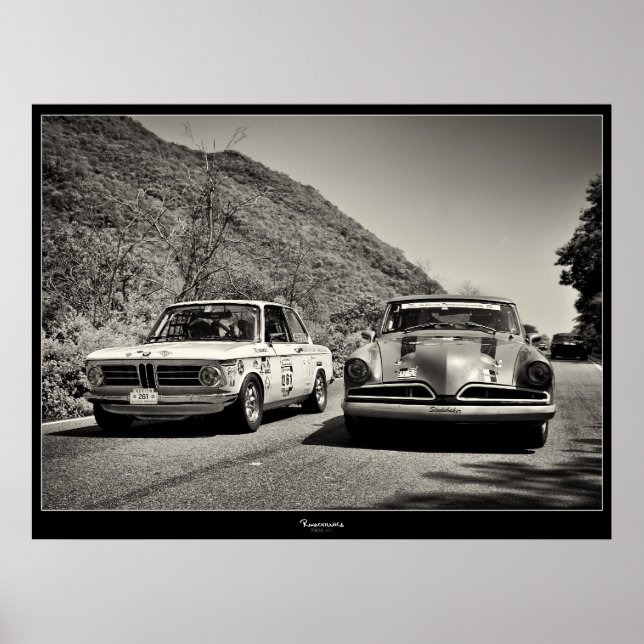 EINFUHR/INNERES POSTER (Vorne)