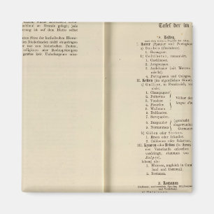 Einführung 1213 Tafel der Karte XII Magnet