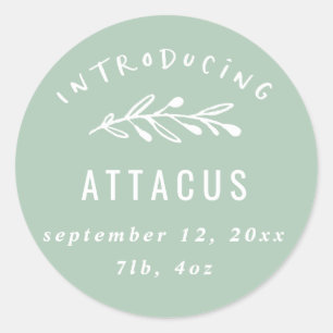 Einführung der Geburtsankündigung einer Zweigniede Runder Aufkleber