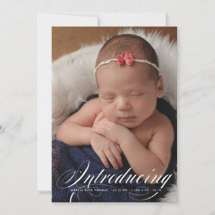 Einführung des eleganten Vollblutjungen Fotos New  Ankündigung