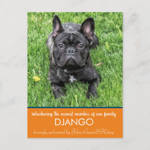 "Einführung" unserer neuen Hundeschrift Postcard Postkarte