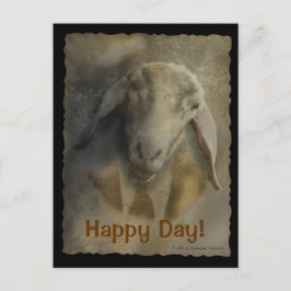 Eingabe - Postvorlage Postkarte