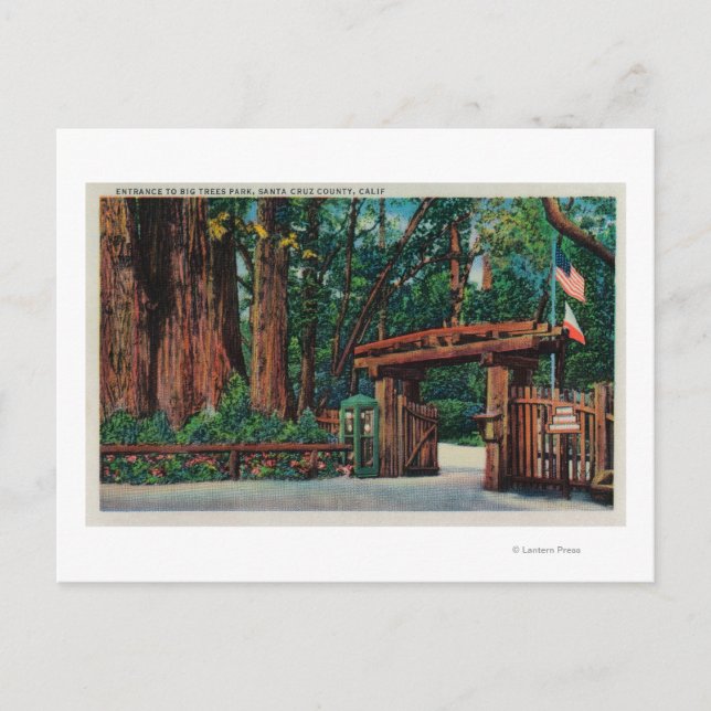Eingang zum Big Trees Park, Santa Cruz Landkreis Postkarte (Vorderseite)