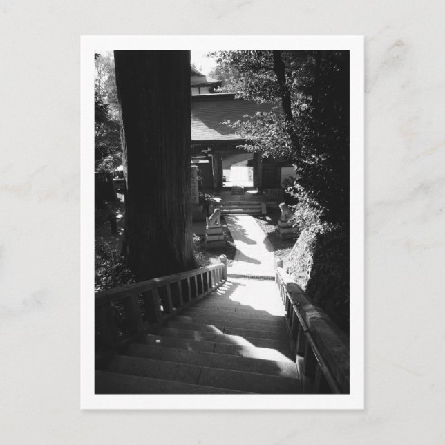 Eingang zum Yakuo-in-Tempel, Mount Takao: Japan Po Postkarte (Vorderseite)