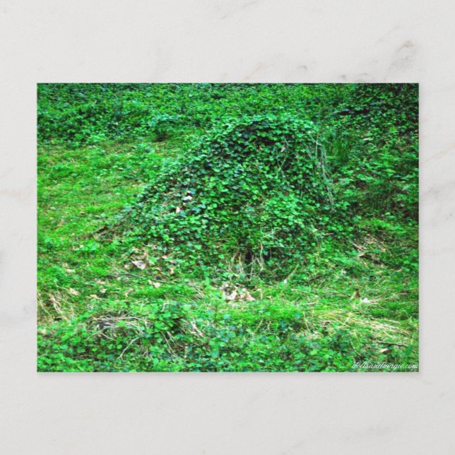 Eingang zur Fee I Postkarte (Vorderseite)