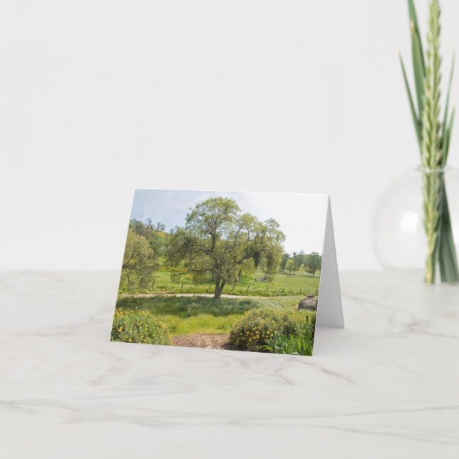 Eingangsterrasse-Vista-Eiche Karte (Vorderseite)