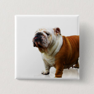 Eingebildeter Bulldoggen-Knopf Button