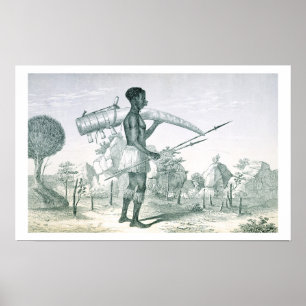 Eingeborene, die einen geschmückten Elfenbein-Elef Poster