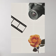 Eingefangene Blüte: Kamera, Film & Rosencollage