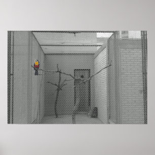 Eingesperrter Vogel Poster