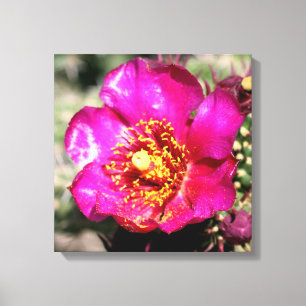 eingewickelte Leinwand des Kaktus Blume