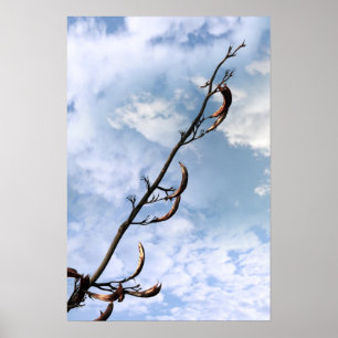 eingreifender perrenial Japaner knotweed Pflanze Poster