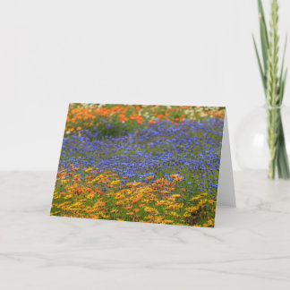 Einheimische Blume, Kapstadt Feiertagskarte