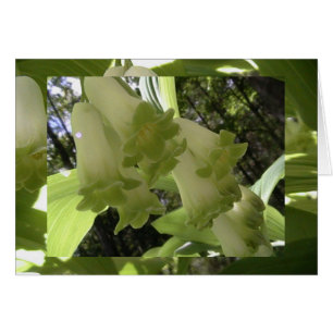 Einheit in der Balance