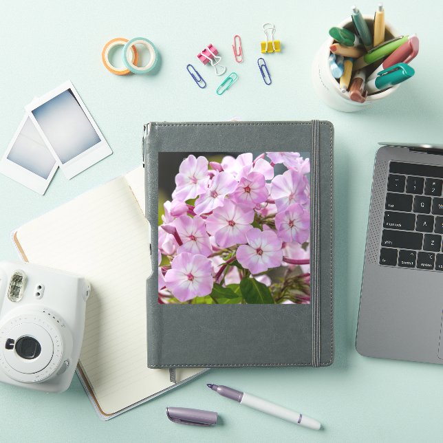 Einheitsblüte – Rosa Phlox Aufkleber (iPad Hülle)
