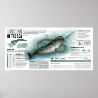 Einhorn der See Poster