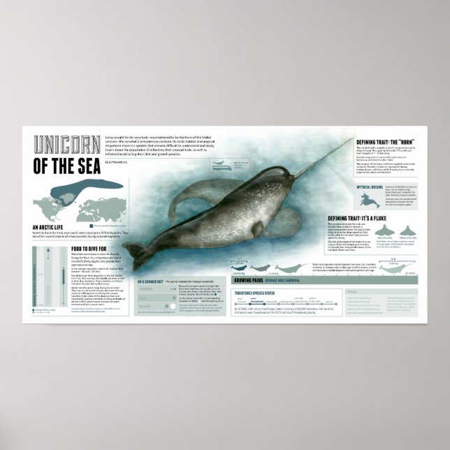 Einhorn der See Poster (Vorne)