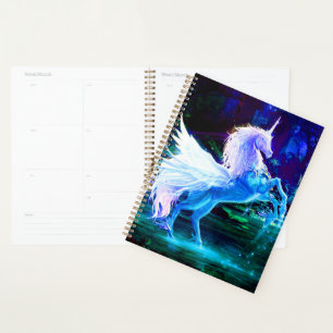 Einhorn Planer