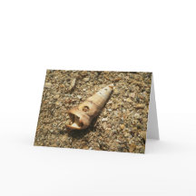 Einhornende Muschel am Strand