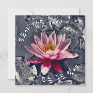 "Einige Blume blühen nachts, wenn..." auf Koreanis Karte
