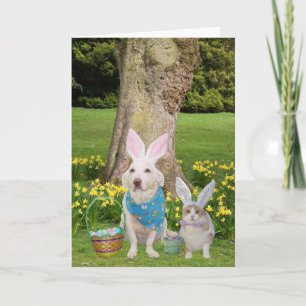 Einige Bunnies Liebe Sie! Feiertagskarte