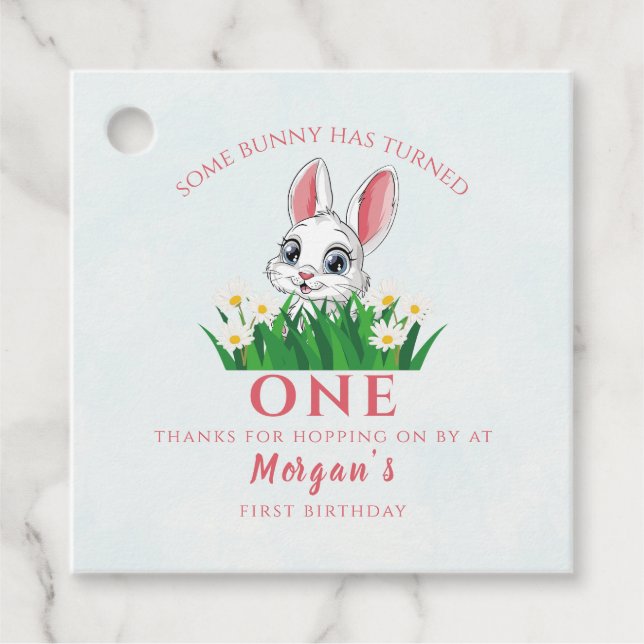 Einige Bunny One Niedlich Rabbit Girls 1. Geburtst Geschenkanhänger (Vorderseite)