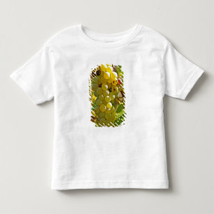 Einige Chasselas im Weinberg - vor langer Zeit gep Kleinkind T-shirt