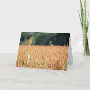 Einige erhalten eine höhere Höhenkarte Karte