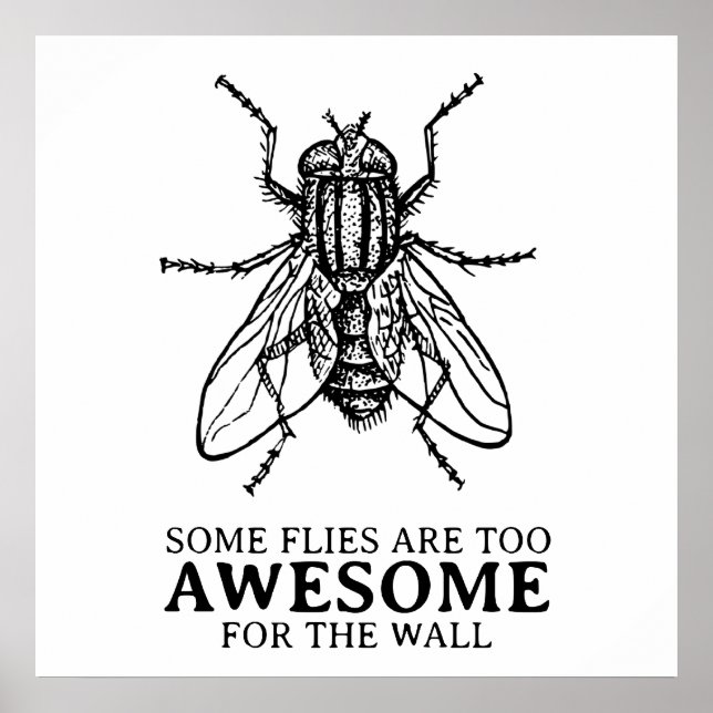 Einige Fliegen Poster (Vorne)