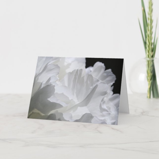 Einige Petalen weißer Peony-Floral-Fotografie Karte (Vorderseite)