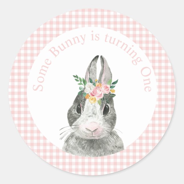 Einige Sonne ist One Bunny Pink Gingham Birthday Runder Aufkleber (Vorderseite)