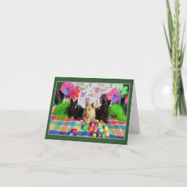 Einige sonnige Lieben