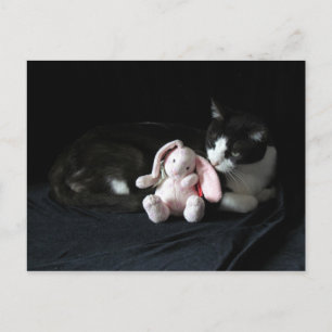 Einige sonnige Lieben las Postkarten