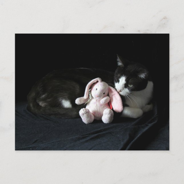 Einige sonnige Lieben las Postkarten (Vorderseite)