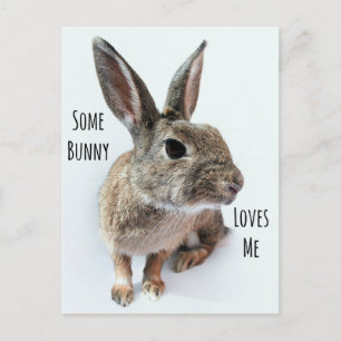 Einige sonnige Lieben Mich Kaninchen Ostern Feiertagspostkarte