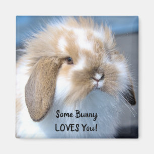Einige sonnige Lieben Sie - Fluffy Holland Lop Magnet